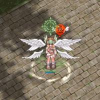 Hawk Boomerang Effect