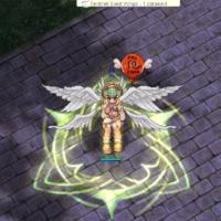 New Wall Of Thorn Effect