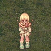 Event Hat 493